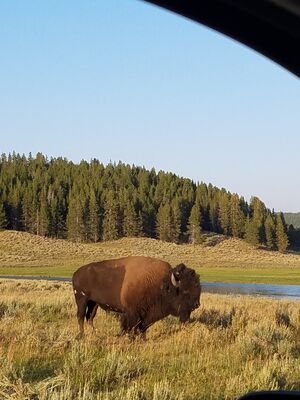 20170806_194243.jpg