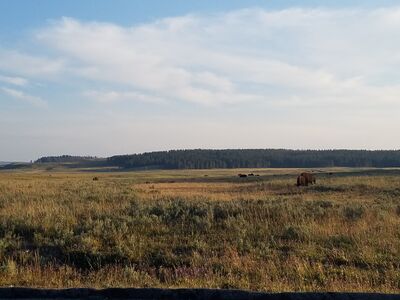 20170806_194406.jpg