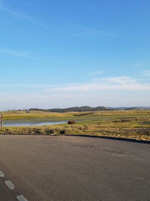 20170806_194552.jpg