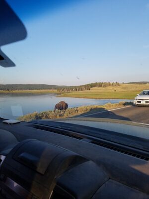 20170806_194752.jpg