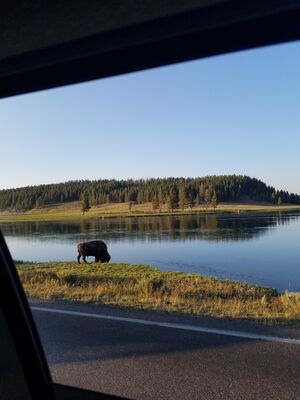 20170806_194804.jpg