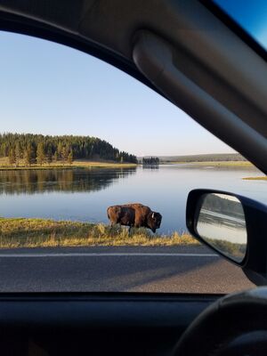 20170806_194835.jpg