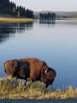 20170806_194838.jpg