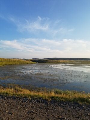 20170806_195058.jpg