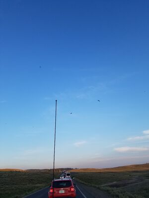 20170806_201657.jpg