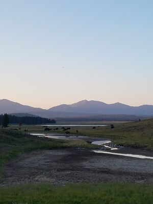 20170806_201736.jpg