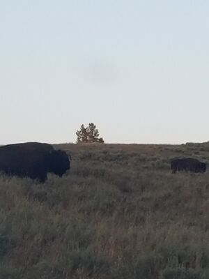 20170806_202105.jpg