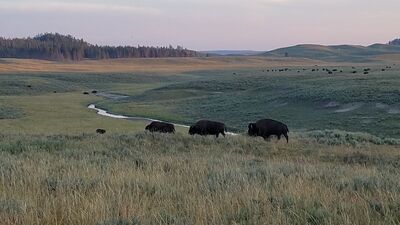 20170806_202203.jpg