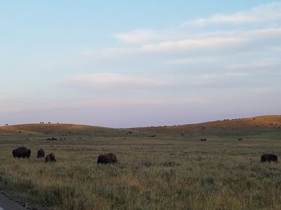 20170806_202321.jpg