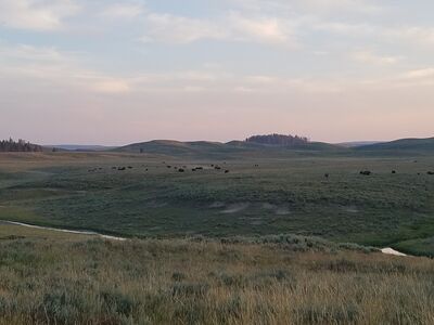 20170806_202324.jpg
