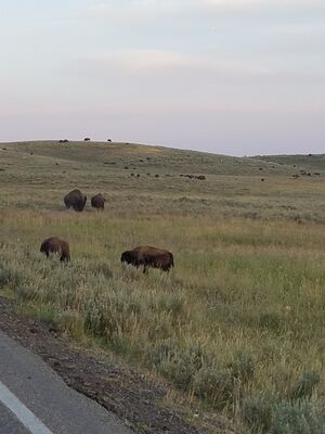 20170806_202512.jpg