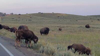 20170806_202609.jpg