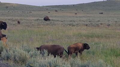 20170806_202614.jpg