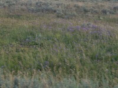 20170806_202638.jpg