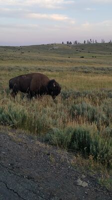 20170806_202744.jpg