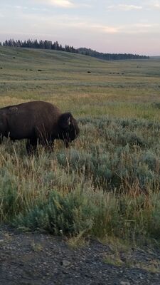20170806_202746.jpg