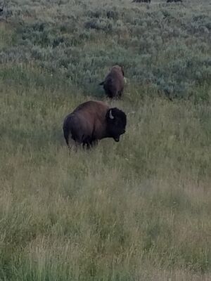 20170806_202848.jpg