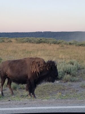 20170806_202949.jpg