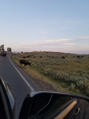 20170806_203101.jpg