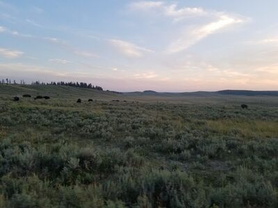 20170806_203113.jpg