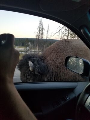 20170806_203920.jpg