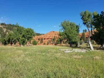 20170810_090631.jpg