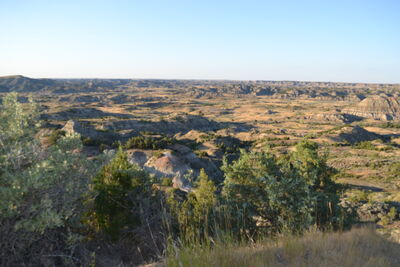 DSC_0006.JPG