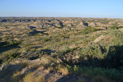 DSC_0007.JPG