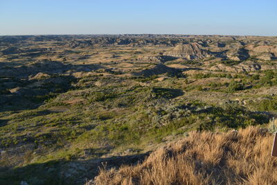 DSC_0012.JPG