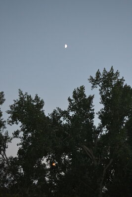 DSC_0013.JPG