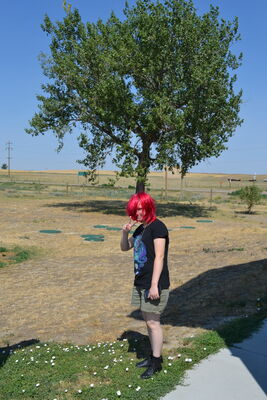 DSC_0016.JPG