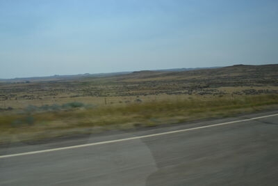 DSC_0021.JPG