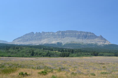 DSC_0037.JPG