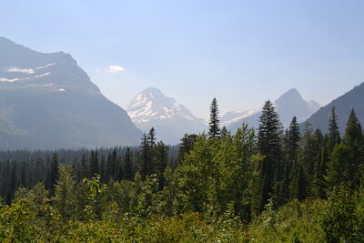 DSC_0041.JPG