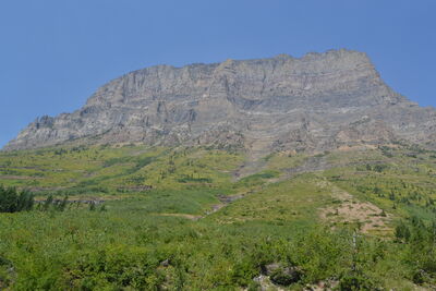 DSC_0042.JPG
