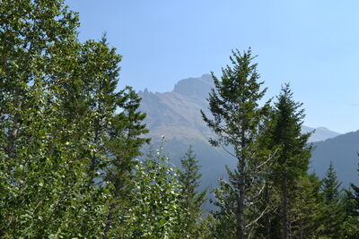 DSC_0043.JPG