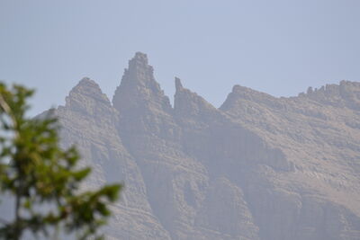 DSC_0045.JPG
