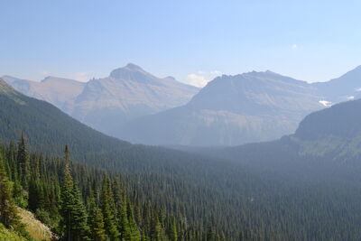 DSC_0049.JPG