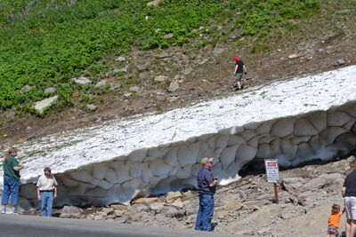 DSC_0060.JPG