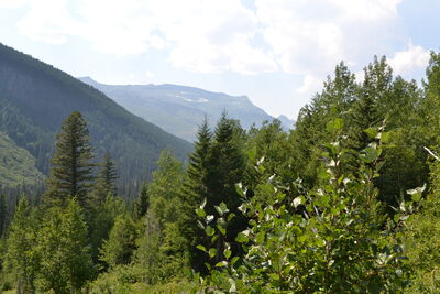 DSC_0063.JPG