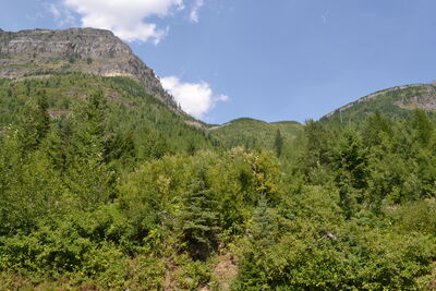 DSC_0064.JPG