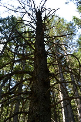 DSC_0066.JPG