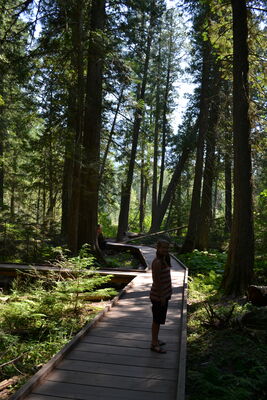DSC_0068.JPG