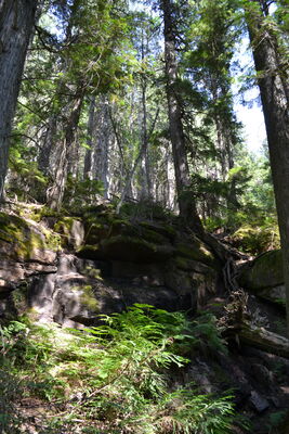 DSC_0070.JPG