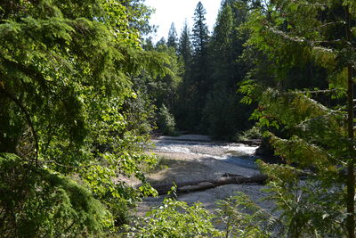 DSC_0073.JPG