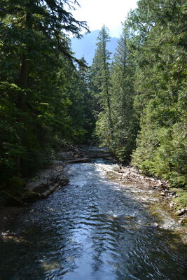 DSC_0075.JPG