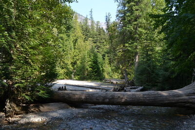 DSC_0081.JPG