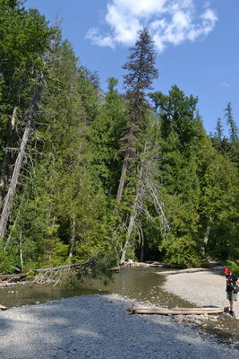 DSC_0085.JPG