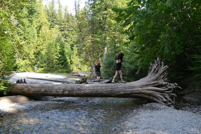 DSC_0087.JPG