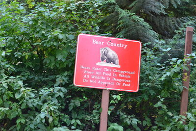 DSC_0089.JPG